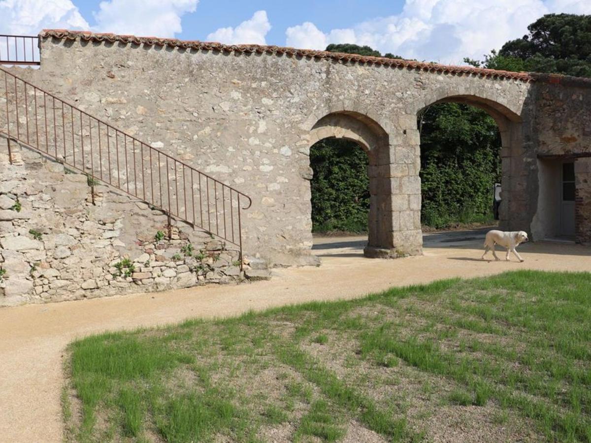 Gite 18Eme Renove Avec Piscine Couverte, Terrasse, Loisirs Et Wifi - 6 Pers. - Fr-1-426-432 Les Herbiers Exteriör bild